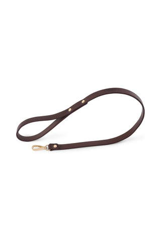 Leather Leash Brown choker - Dr.Harness Lingerie & Leather - 1