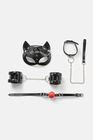 Spicy Box Set 2 - Dr.Harness - harness