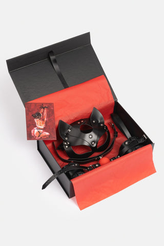 Spicy Box Set 2 - Dr.Harness - harness