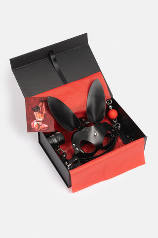 Spicy Box Set 3 - Dr.Harness - harness