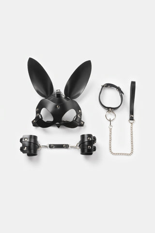 Spicy Box Set 4 - Dr.Harness - harness