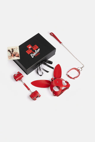 Spicy Box Set 4 - Dr.Harness - harness