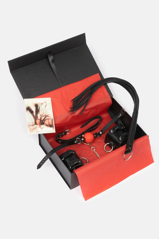 Spicy Box Set 8 - Dr.Harness - harness