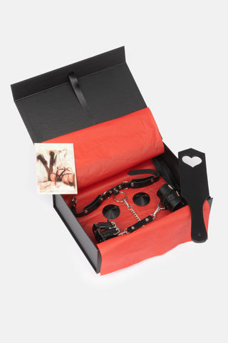 Spicy Box Set #6 - Dr.Harness 3