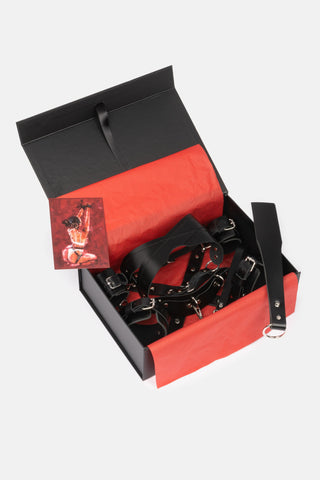 Spicy Box Set #10 - Dr.Harness 3