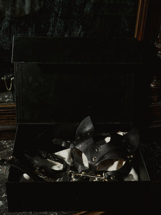 Play Box "PRELUDE" Black play box - Dr.Harness Lingerie & Leather - 1