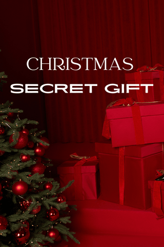 XMAS SECRET GIFT - Dr.Harness Lingerie & Leather - 1